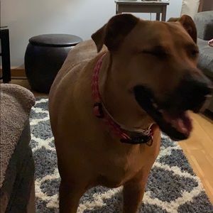 Meet your Posher, Nathan